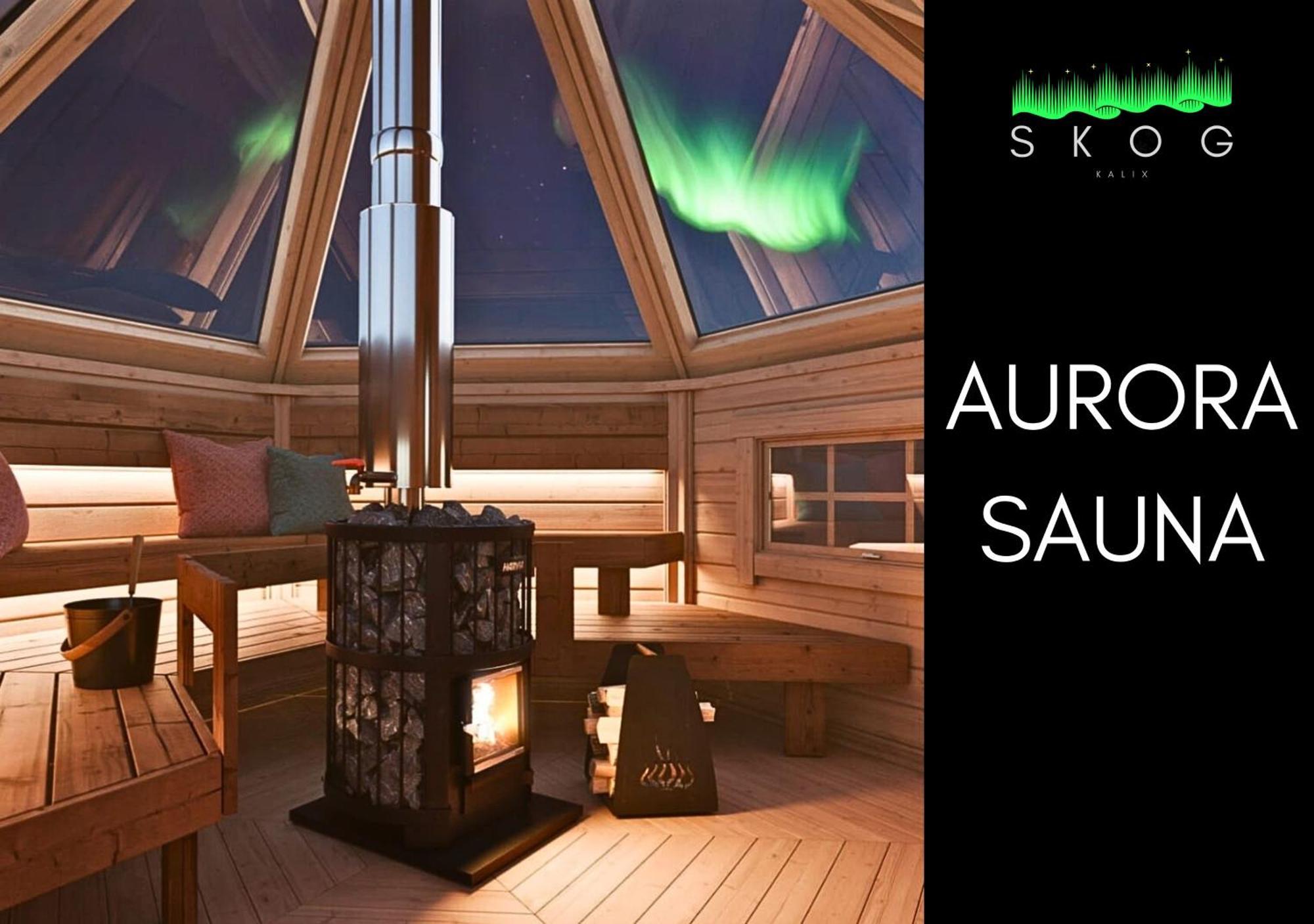 הוילה קאליקס Skog Aurora Igloos מראה חיצוני תמונה