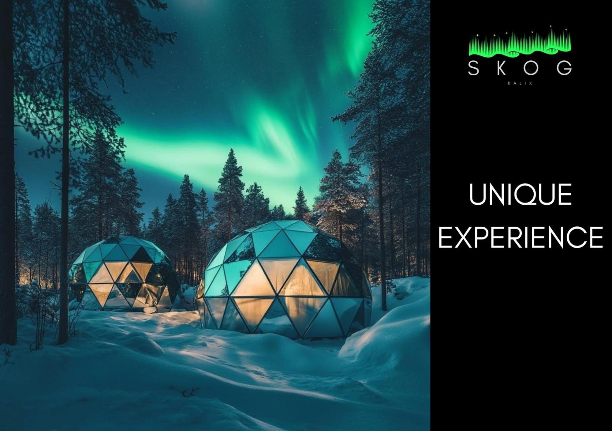 הוילה קאליקס Skog Aurora Igloos מראה חיצוני תמונה