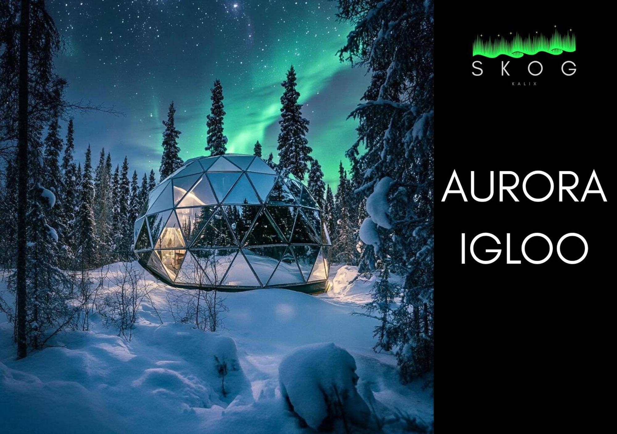 הוילה קאליקס Skog Aurora Igloos מראה חיצוני תמונה