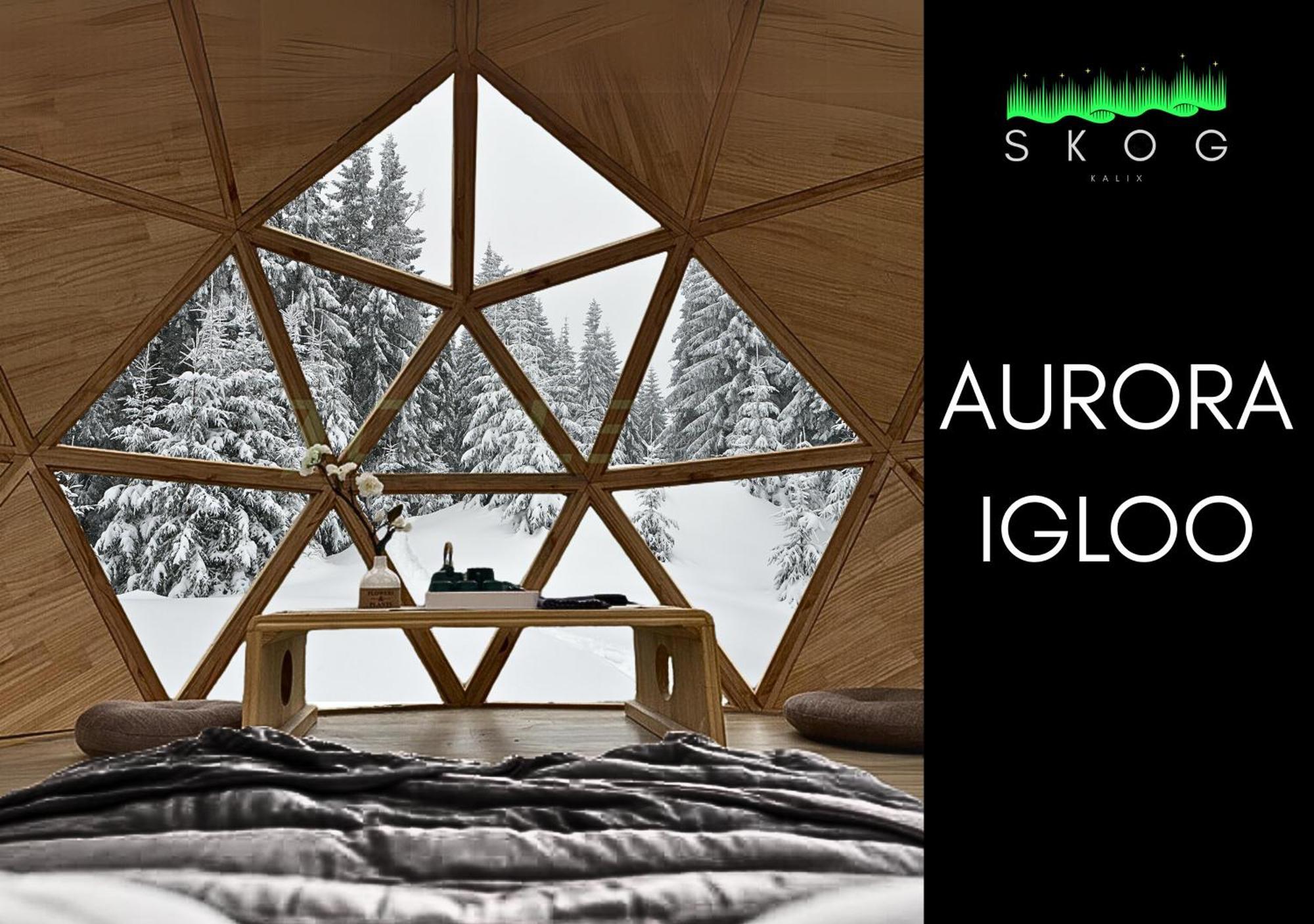 הוילה קאליקס Skog Aurora Igloos מראה חיצוני תמונה