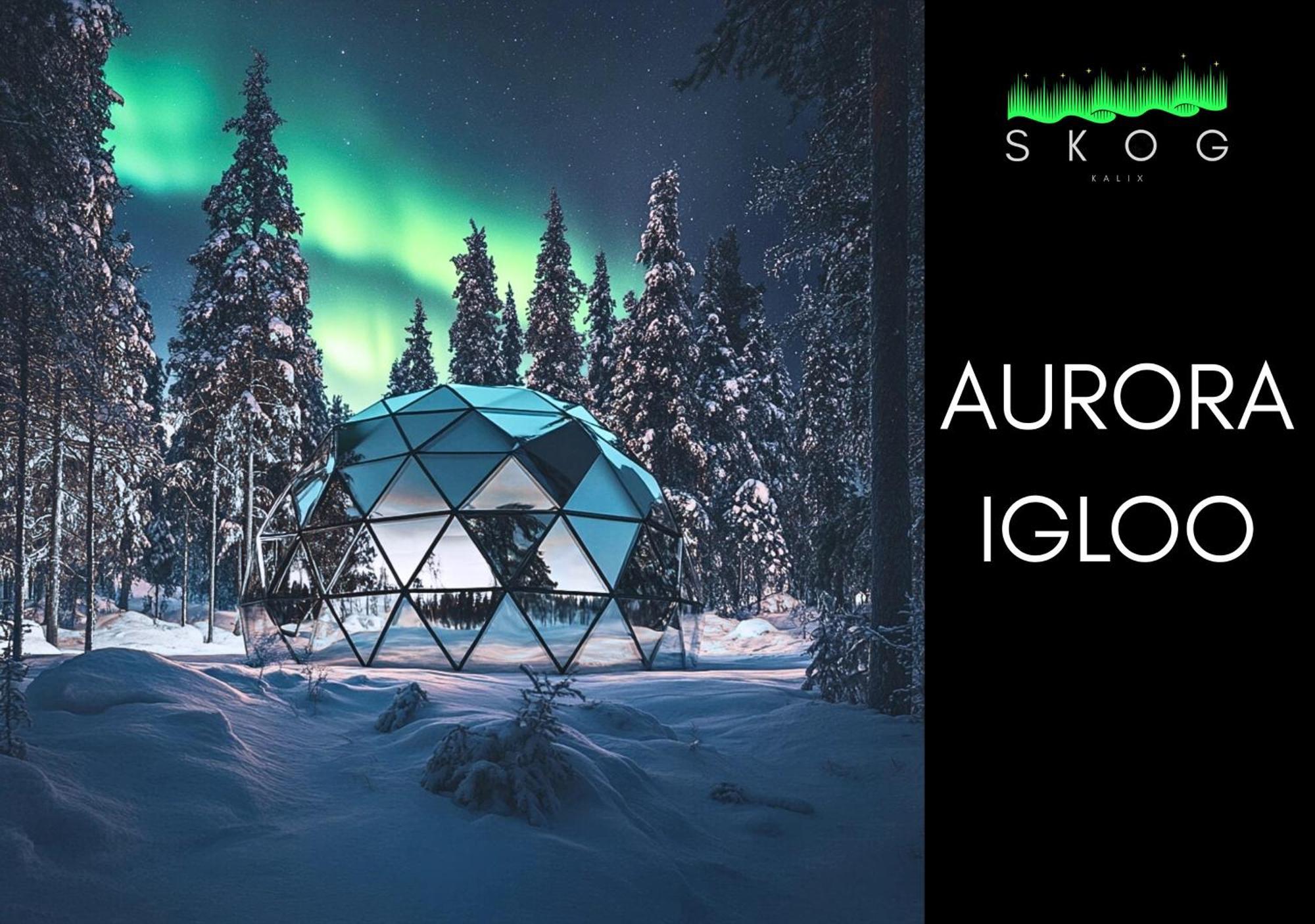 הוילה קאליקס Skog Aurora Igloos מראה חיצוני תמונה