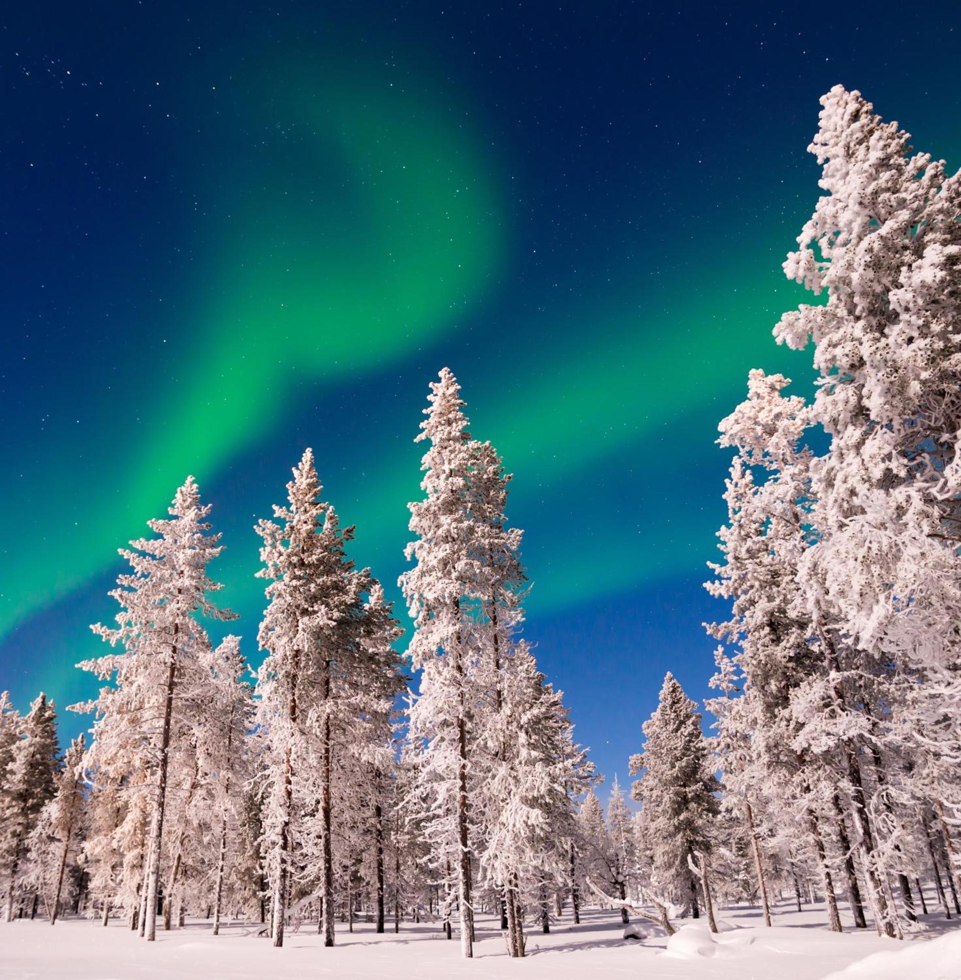 הוילה קאליקס Skog Aurora Igloos מראה חיצוני תמונה