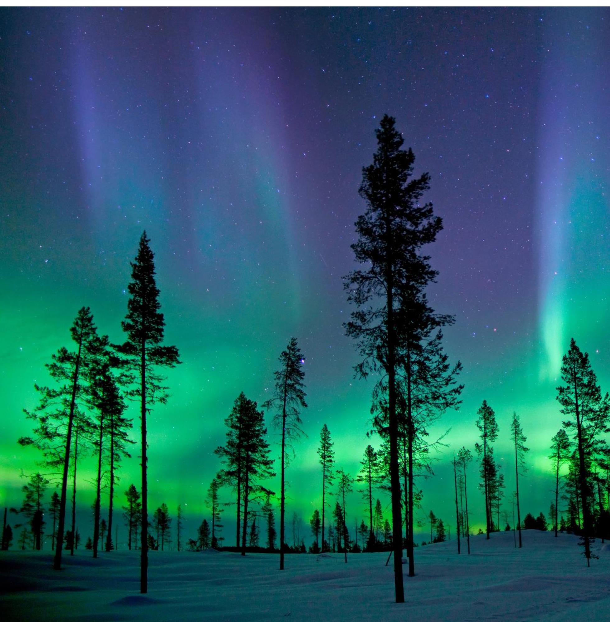 הוילה קאליקס Skog Aurora Igloos מראה חיצוני תמונה